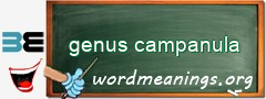 WordMeaning blackboard for genus campanula